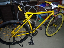 Yellow Bike Company photo