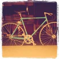 Zalu's Colnago campagnolo series