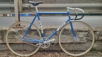 Zeus Pista