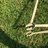 Post photo