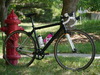 Post photo