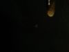 Post photo