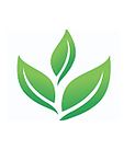 ibogainedetoxrehab