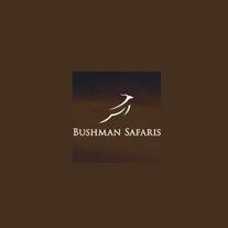 bushmansafaris