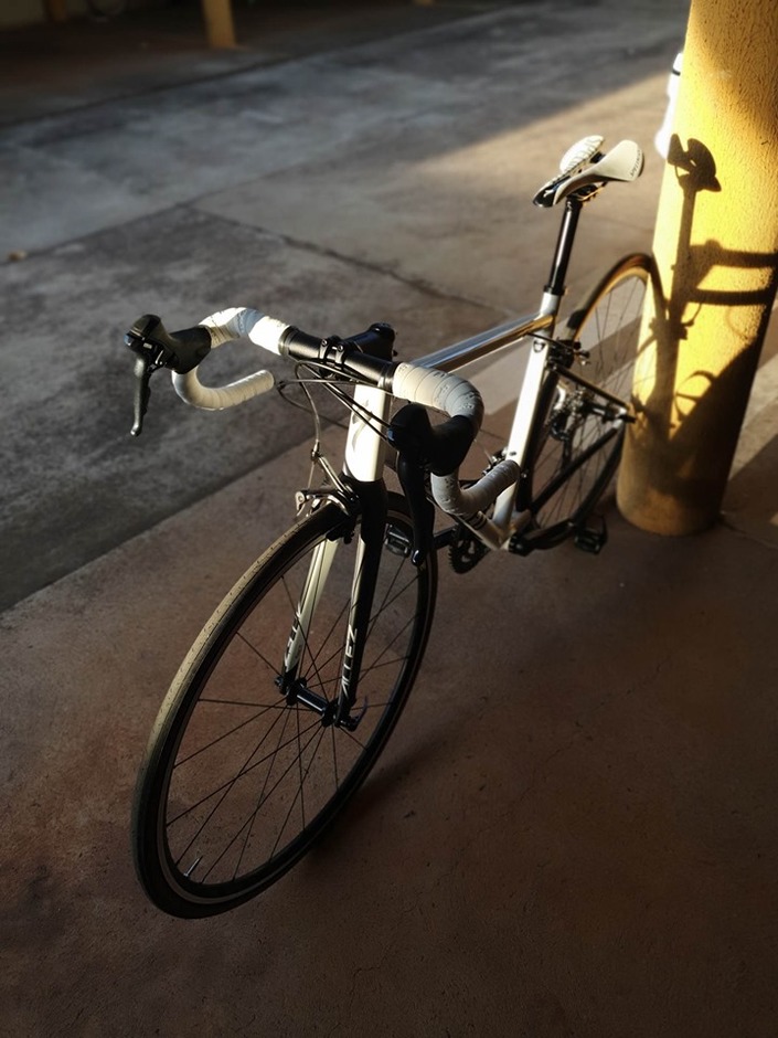 Specialized allez sales sport 2019