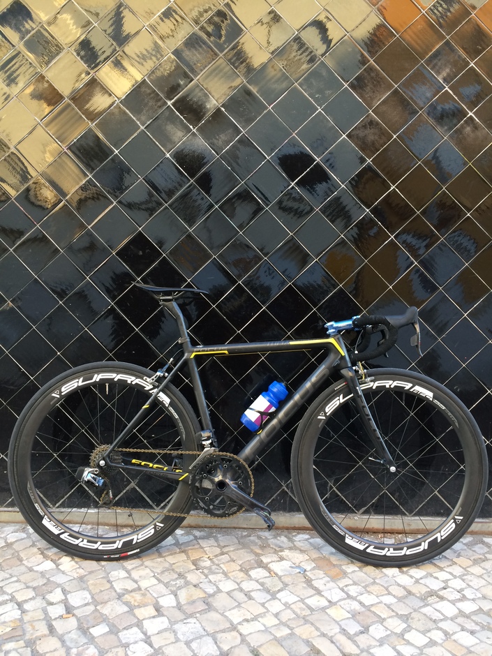 Focus izalco store max 2014