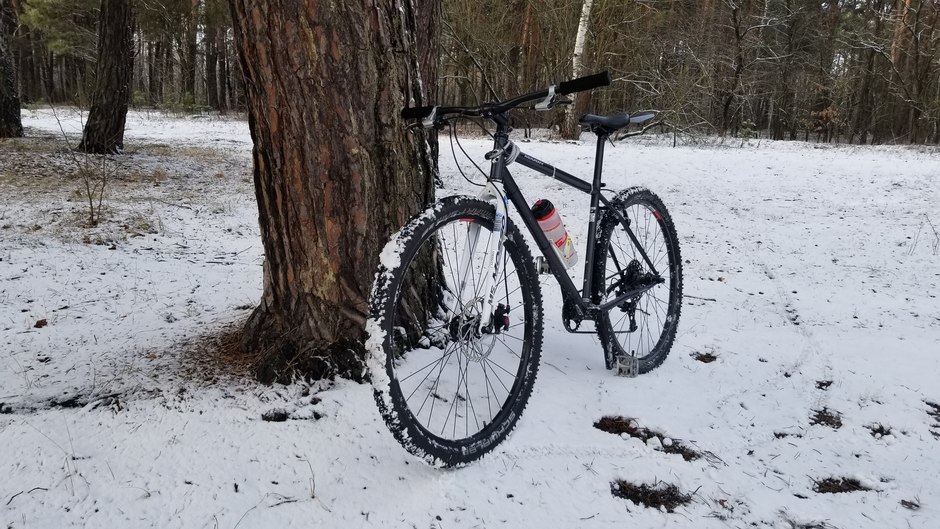 Marin hamilton 29er 2025