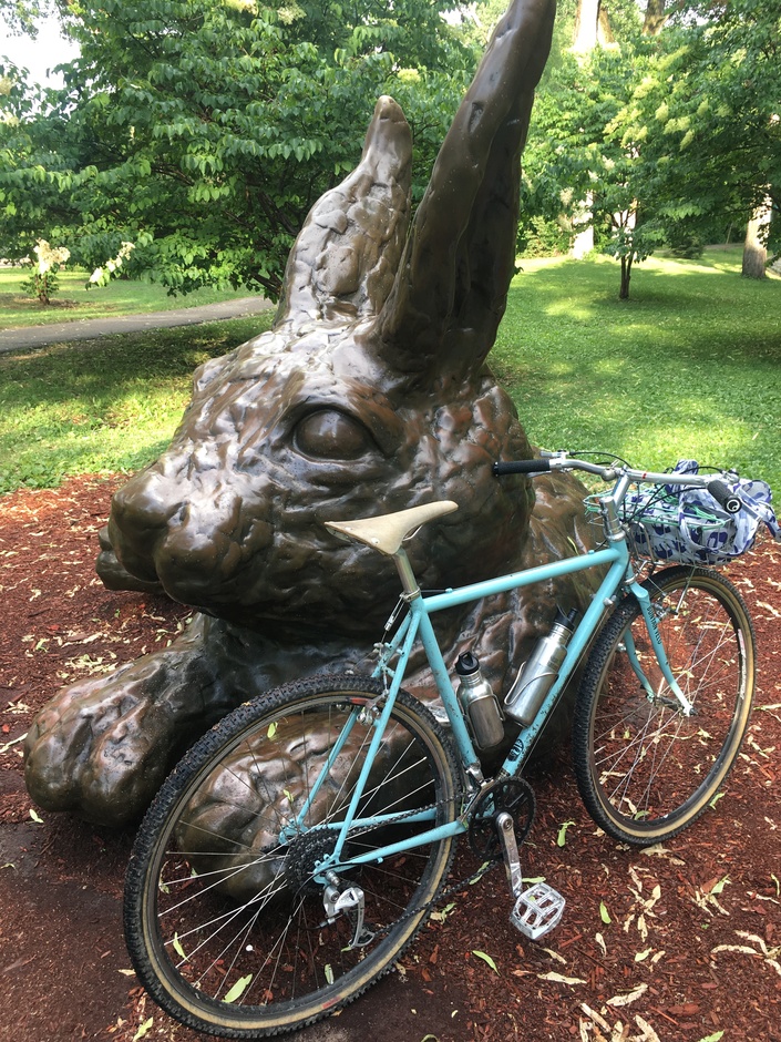 Surly Cross Check - Pedal Room