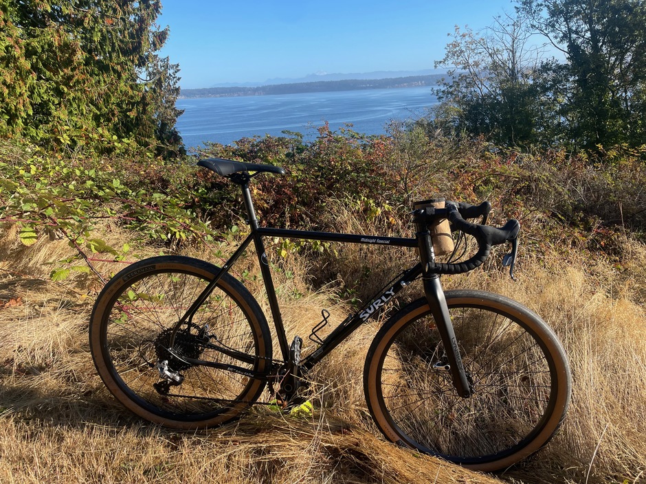 Surly Midnight Special Pedal Room