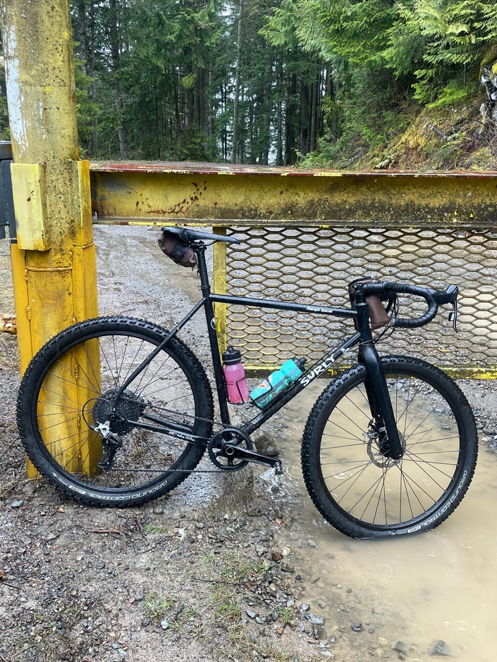 Surly Midnight Special Pedal Room