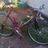 Schwinn World Lite