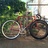 Makino Track NJS Gold Flaked