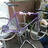 Purple Sparkle Vivalo NJS