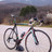 colnago c50