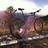 1999 Custom Gary Fisher Aquila mtb