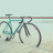2009 Bianchi D2