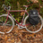 1971 Holdsworth Super Mistral