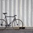 Kilo TT Daily