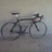 Chinarello!