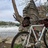 Cannondale SM500
