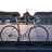 saint martin track bike
