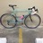 55cm BIANCHI Veloce w/Campy Record