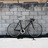 2013 Fyxation 52cm Black(gloss) Hawai'i