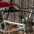 Redline Proline '97