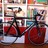 Ridley Oval 7d6.1 (sold)