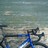 Giant Omnium