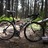 Cinelli experience