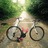 Serotta Legend Ti