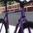 Celt Purple Fixed Gear