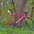 Dolan Pre Cursa 56cm red