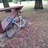 Batavus Professional