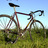 Colnago Profil CX