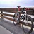 Litespeed M1