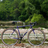 All City Nature Boy SSCX