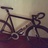 Colossi 'Startrack' Low Pro 54cm