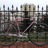 Iribe NJS Track Bike Pink