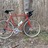 Surly Pacer