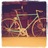 Zalu's Colnago campagnolo series