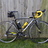 Boardman Road Team Carbon