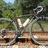 Surly Cross-Check 1x10