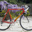 Cannondale Saeco CAAD 4