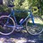 Eddy Merckx MX-Leader (The Blue Eddy)