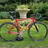 Specialized Langster Pro 56cm