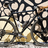 Moth Attack Cyclocross/Adventure Bike