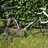 Eddy Merckx Corsa Extra Team Telekom 56