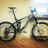 Trek Remedy 8